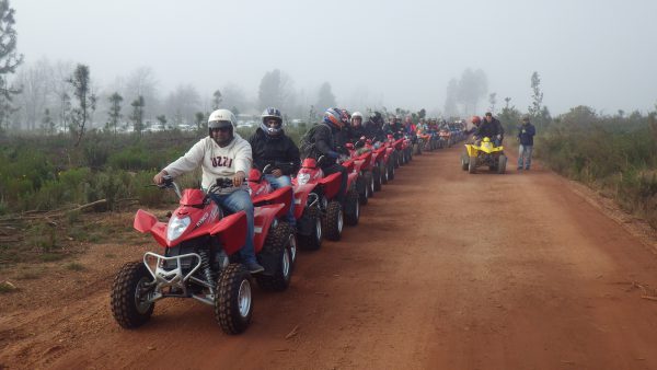 Quad Biking · SA Forest Adventures