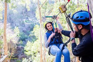 Tree Top Zipline tour